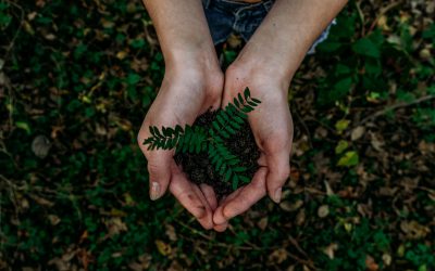 ANTARIS presenta su I Plan Medioambiental