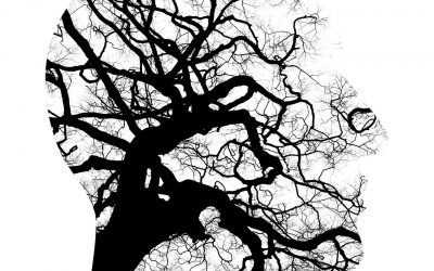 Salud Mental, Salud Mundial: Un derecho Universal